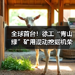全球首台！徐工“青山绿”矿用混动挖掘机荣耀下线