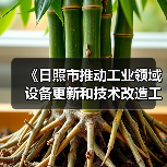 《日照市推动工业领域设备更新和技术改造工作方案》发布（图4）