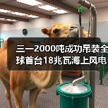 三一2000吨成功吊装全球首台18兆瓦海上风电机组(图4) 三一2000吨成功吊装全球首台18兆瓦海上风电机组(图4)