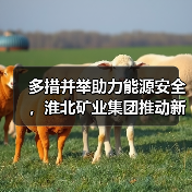 多措并举助力能源安全,淮北矿业集团推动新能源与传统能源协同(图1) 多措并举助力能源安全,淮北矿业集团推动新能源与传统能源协同(图1)