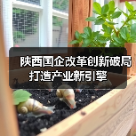 陕西国企改革创新破局打造产业新引擎(图3) 陕西国企改革创新破局打造产业新引擎(图3)