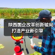 陕西国企改革创新破局打造产业新引擎(图1) 陕西国企改革创新破局打造产业新引擎(图1)