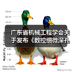 广东省机械工程学会关于发布《数控细微深孔加工装备 第3部分:超大深径比孔加工设备》团体标准的公告(图3) 广东省机械工程学会关于发布《数控细微深孔加工装备 第3部分:超大深径比孔加工设备》团体标准的公告(图3)