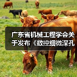 广东省机械工程学会关于发布《数控细微深孔加工装备 第3部分:超大深径比孔加工设备》团体标准的公告(图4) 广东省机械工程学会关于发布《数控细微深孔加工装备 第3部分:超大深径比孔加工设备》团体标准的公告(图4)