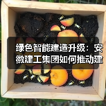 绿色智能建造升级：安徽建工集团如何推动建筑业高效转型？（图1）