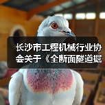 长沙市工程机械行业协会关于《全断面隧道掘进机主轴承试验规范》 团体标准立项的公告（图4）