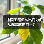中国工程机械出海为何从配套转向自主？（图1）