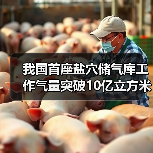 我国首座盐穴储气库工作气量突破10亿立方米，技术如何实现？（图1）