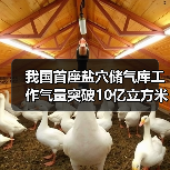 我国首座盐穴储气库工作气量突破10亿立方米，技术如何实现？（图2）