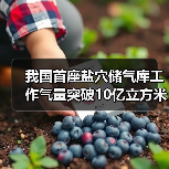 我国首座盐穴储气库工作气量突破10亿立方米，技术如何实现？（图4）