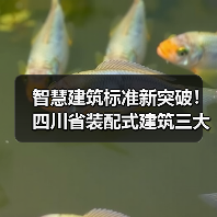 智慧建筑标准新突破！四川省装配式建筑三大新标准即将落地（图2）