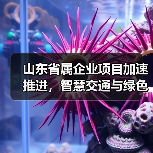 山东省属企业项目加速推进，智慧交通与绿色航运如何助力高质量发展？（图3）