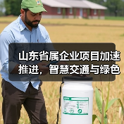 山东省属企业项目加速推进，智慧交通与绿色航运如何助力高质量发展？（图4）