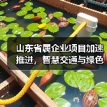山东省属企业项目加速推进，智慧交通与绿色航运如何助力高质量发展？（图2）