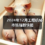 2024年12月工程机械市场指数快报(图3) 2024年12月工程机械市场指数快报(图3)