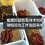 地面超前致裂技术如何破解孤岛工作面回采难题?(图2) 地面超前致裂技术如何破解孤岛工作面回采难题?(图2)