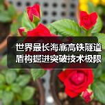 世界最长海底高铁隧道盾构掘进突破技术极限(图3) 世界最长海底高铁隧道盾构掘进突破技术极限(图3)