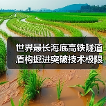 世界最长海底高铁隧道盾构掘进突破技术极限(图4) 世界最长海底高铁隧道盾构掘进突破技术极限(图4)