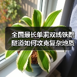 全国最长单洞双线铁路隧道如何攻克复杂地质难题?(图3) 全国最长单洞双线铁路隧道如何攻克复杂地质难题?(图3)