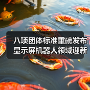 八项团体标准重磅发布 显示屏机器人领域迎新规（图3）