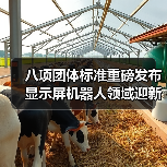八项团体标准重磅发布 显示屏机器人领域迎新规（图1）