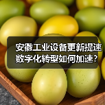 安徽工业设备更新提速 数字化转型如何加速？（图4）