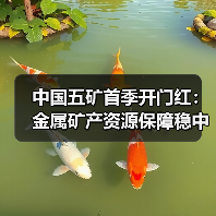中国五矿首季开门红:金属矿产资源保障稳中取进(图2) 中国五矿首季开门红:金属矿产资源保障稳中取进(图2)