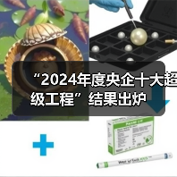 “2024年度央企十大超级工程”结果出炉(图1) “2024年度央企十大超级工程”结果出炉(图1)