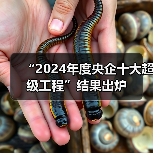 “2024年度央企十大超级工程”结果出炉(图3) “2024年度央企十大超级工程”结果出炉(图3)