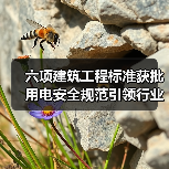 六项建筑工程标准获批 用电安全规范引领行业升级(图3) 六项建筑工程标准获批 用电安全规范引领行业升级(图3)