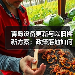 青岛设备更新与以旧换新方案：政策落地如何带动产业升级？（图1）
