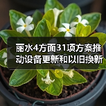丽水4方面31项方案推动设备更新和以旧换新(图1) 丽水4方面31项方案推动设备更新和以旧换新(图1)