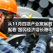 从11月四项产业发展数据看 国民经济增长稳中有序(图2) 从11月四项产业发展数据看 国民经济增长稳中有序(图2)