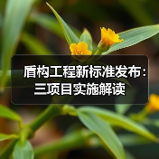 盾构工程新标准发布：三项目实施解读（图1）