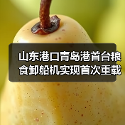 山东港口青岛港首台粮食卸船机实现首次重载试车(图2) 山东港口青岛港首台粮食卸船机实现首次重载试车(图2)