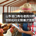 山东港口青岛港首台粮食卸船机实现首次重载试车(图4) 山东港口青岛港首台粮食卸船机实现首次重载试车(图4)