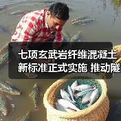 七项玄武岩纤维混凝土新标准正式实施 推动隧道智能建造(图4) 七项玄武岩纤维混凝土新标准正式实施 推动隧道智能建造(图4)