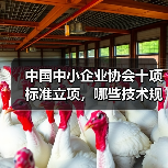 中国中小企业协会十项标准立项,哪些技术规程值得关注?(图1) 中国中小企业协会十项标准立项,哪些技术规程值得关注?(图1)