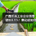 广西区直工业企业首季增长8.1%!新动能如何推动产业升级?(图3) 广西区直工业企业首季增长8.1%!新动能如何推动产业升级?(图3)