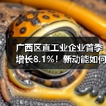 广西区直工业企业首季增长8.1%!新动能如何推动产业升级?(图1) 广西区直工业企业首季增长8.1%!新动能如何推动产业升级?(图1)
