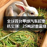 全球首台甲醇汽车起重机实测:25吨起重量绿色施工新标杆(图1) 全球首台甲醇汽车起重机实测:25吨起重量绿色施工新标杆(图1)