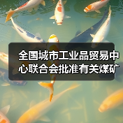 全国城市工业品贸易中心联合会批准有关煤矿标准立项（图2）