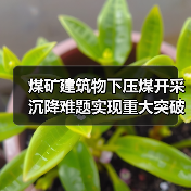 煤矿建筑物下压煤开采沉降难题实现重大突破(图2) 煤矿建筑物下压煤开采沉降难题实现重大突破(图2)