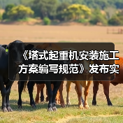 《塔式起重机安装施工方案编写规范》发布实施(图2) 《塔式起重机安装施工方案编写规范》发布实施(图2)