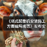 《塔式起重机安装施工方案编写规范》发布实施(图3) 《塔式起重机安装施工方案编写规范》发布实施(图3)