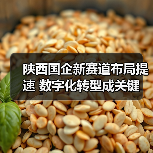 陕西国企新赛道布局提速 数字化转型成关键(图3) 陕西国企新赛道布局提速 数字化转型成关键(图3)