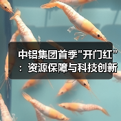 中铝集团首季 中铝集团首季
