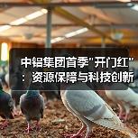 中铝集团首季 中铝集团首季