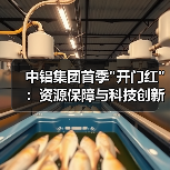 中铝集团首季 中铝集团首季