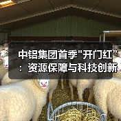 中铝集团首季 中铝集团首季